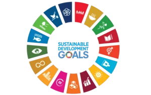 Sustainable Development Goals Logo